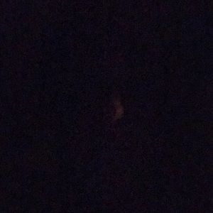 Meet your Posher, Sally